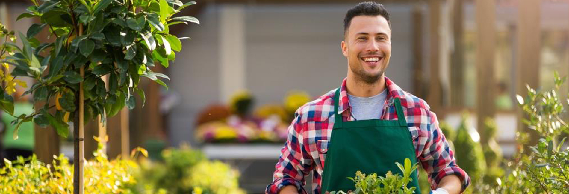 Die Pflanzenschule - Werde Verkaufsprofi