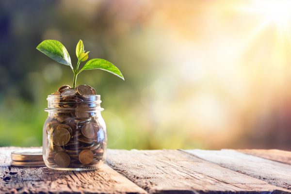 Pflanzeneinkauf - Finanzielles