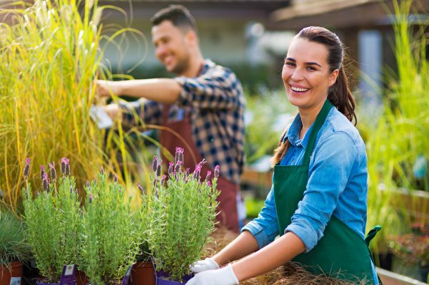 Die Pflanzenschule - Inhalte